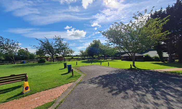 The grounds of Amelia Trust Farm. Green grass with trees, bright blue sky, and white fluffy clouds.